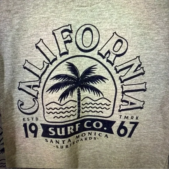 SCW Gray hoodie with California print - Picture 3 of 4